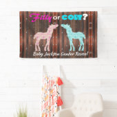 Fun "Filly or Colt" Gender Reveal Banner (Insitu)