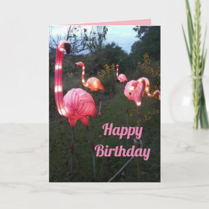 Fun Flamingo Birthday Card Karte