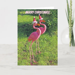 Fun Flamingo Weihnachts-Grußkarte! Feiertagskarte
