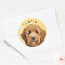 Fun florale Labradoodle Aufkleber Niedlich Retro D