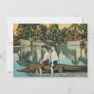 Fun Florida Alligator Ankündigung