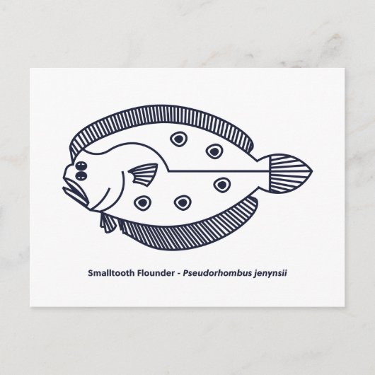 Fun Flounder Fisch in tiefblau und weiß Postkarte (Vorderseite)