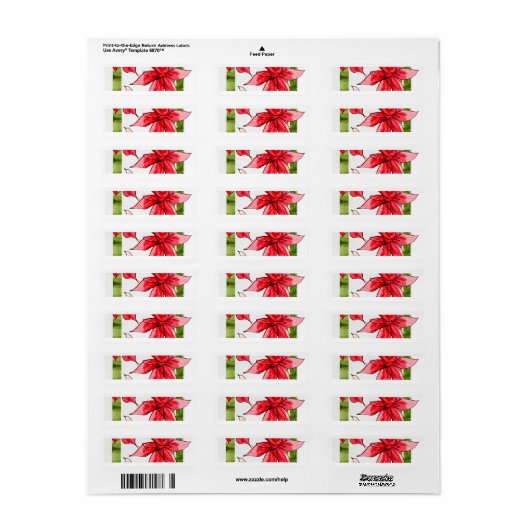 FUN FLOWER RETURN ADDRESS LABEL (Vorne)