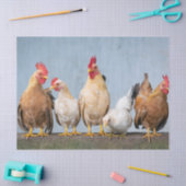 Fun Foto von Hühnern & Roostern an der Mauer Seidenpapier (Basteln)
