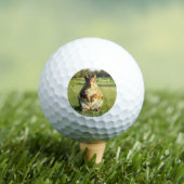 Fun Fox Squirrel Golf Balls Golfball (Insitu T-Shirt)
