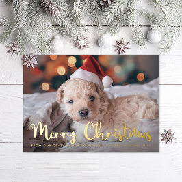 Fun Frohe Weihnachts Pet Foto Folien Feiertagskarte