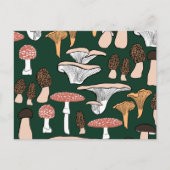 Fun Fungi Mushroom Pattern Postkarte (Vorderseite)