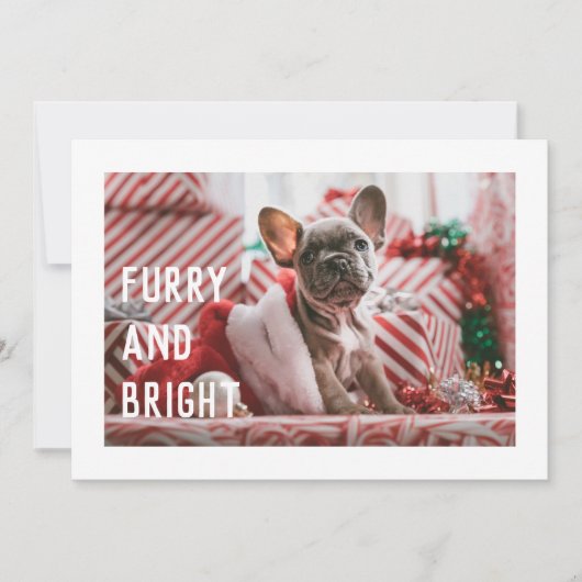 Fun Furry und Helle Moderne Pet Pun Holiday Card Einladung (Vorderseite)