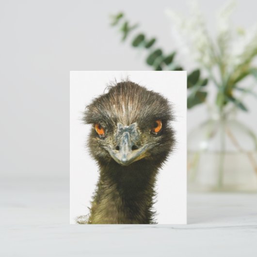 Fun Glaring Emu Nah auf Postkarte (Stehend Vorderseite)