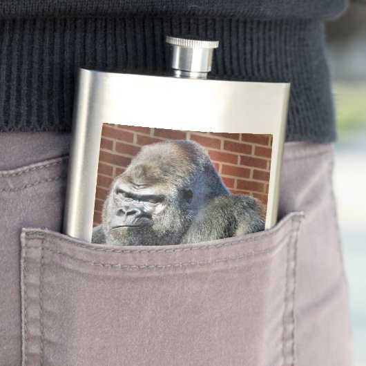 FUN GORILLA FLACHMANN (Beispiel)