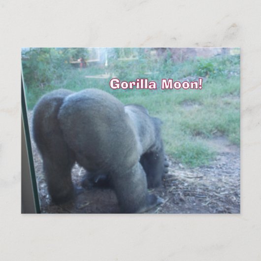 Fun Gorilla Moon Postcard Postkarte (Vorderseite)