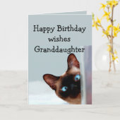 Fun Grandtochter Birthday wünscht Siamese Cat Karte (Gelbe Blume)