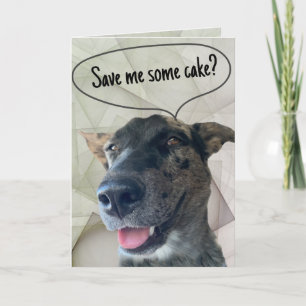 Fun Gray Brindle Rind Hunde Foto Karte