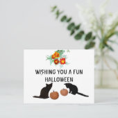 Fun Halloween Orange Pumpkins Marigolds Black Cats Postkarte (Stehend Vorderseite)