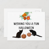 Fun Halloween Orange Pumpkins Marigolds Black Cats Postkarte (Vorne/Hinten)