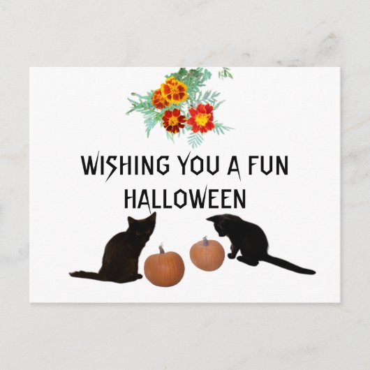 Fun Halloween Orange Pumpkins Marigolds Black Cats Postkarte (Vorderseite)