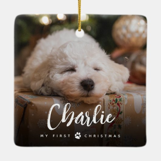 Fun Handgeschriebener Typ Pet's First Christmas Fo Keramikornament (Rückseite)