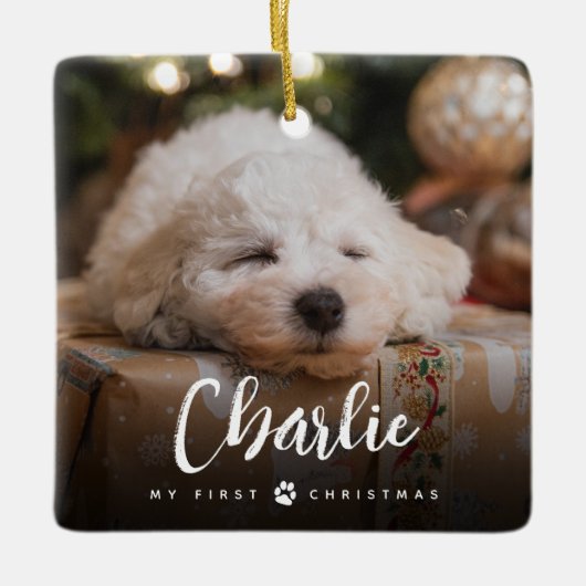 Fun Handgeschriebener Typ Pet's First Christmas Fo Keramikornament (Vorderseite)