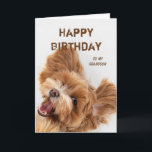 Fun Happy Birthday Grandson Niedlich Dog Welpe Feiertagskarte<br><div class="desc">Celtic Segnungen Weihnachten für jedermann für Sie zu senden an Ihre Lieblings-Freunde,  Familie oder andere Fun Happy Geburtstag Grandson Niedlich Dog Welpe</div>