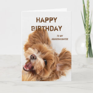 Fun Happy Birthday Grandtochter Niedlicher Hund We Feiertagskarte