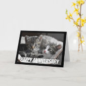 Fun Heart to Heart Couple Jubiläum Cat Animal Karte (Gelbe Blume)