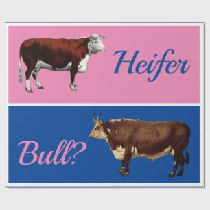 Fun Heifer oder Bull Gender Reveal bei Rindern Geschenkpapier