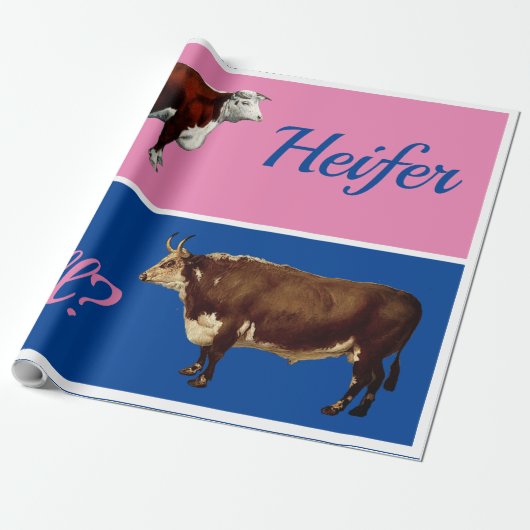 Fun Heifer oder Bull Gender Reveal bei Rindern Geschenkpapier (Ungerollt)