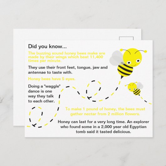 Fun Honey Bee Fakten Postkarte (Vorne/Hinten)