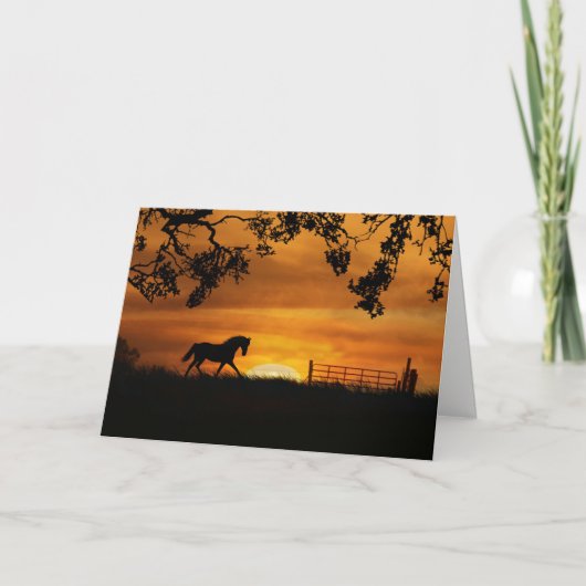 Fun Horse Themed Happy Birthday Card Karte (Vorderseite)