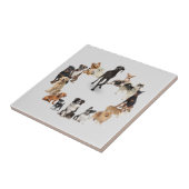 Fun Hund Rasse Haustiere Hund Fliese (Seite)