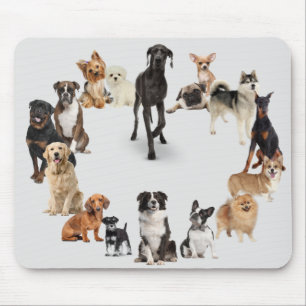 Fun Hund Rasse Haustiere Hunde Individuelle Name Mousepad