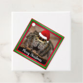Fun Jumping Spider in der Weihnachtsmannmütze Weih Geschenkanhänger (Beispiel)