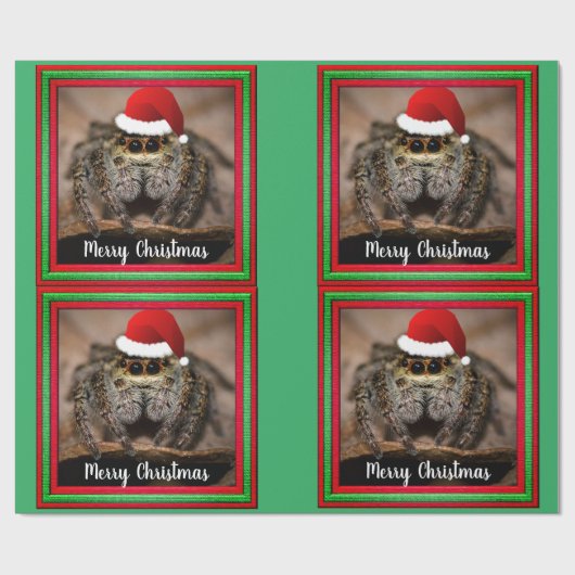 Fun Jumping Spider in der Weihnachtsmannmütze Weih Geschenkpapier (Flach)