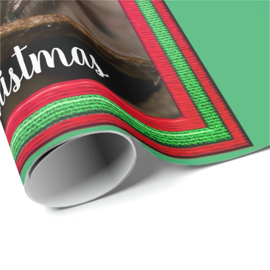 Fun Jumping Spider in der Weihnachtsmannmütze Weih Geschenkpapier (Rolleneckpunkt)