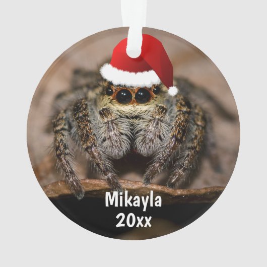 Fun Jumping Spider in der Weihnachtsmannmütze Weih Ornament (Rückseite)
