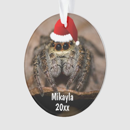 Fun Jumping Spider in der Weihnachtsmannmütze Weih Ornament (Vorderseite)