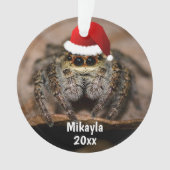 Fun Jumping Spider in der Weihnachtsmannmütze Weih Ornament (Vorderseite)