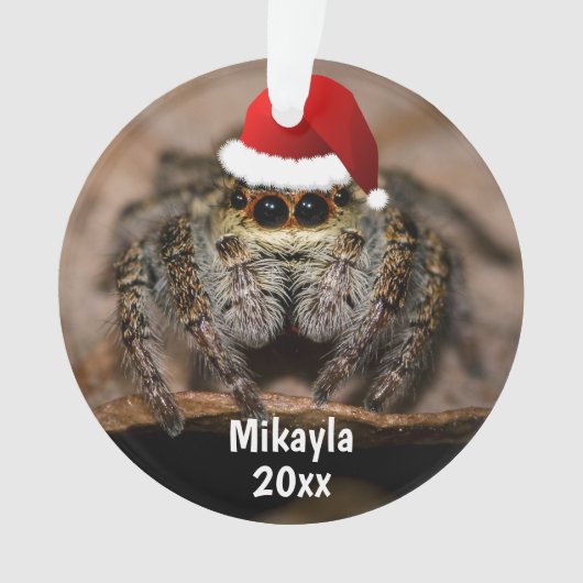 Fun Jumping Spider in der Weihnachtsmannmütze Weih Ornament (Vorderseite)