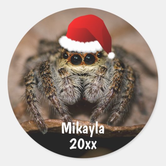Fun Jumping Spider in der Weihnachtsmannmütze Weih Runder Aufkleber (Vorderseite)