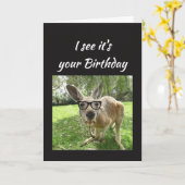 Fun Kangaroo Cheers Mate Australian Animal Humor Karte (Gelbe Blume)