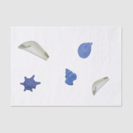 Fun Küstenseashell blau 10lb Gewebepapier, weiß Seidenpapier