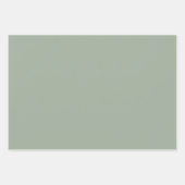 Fun Leaf Muster mit passender Farbe Geschenkpapier Set (Vorderseite 3)
