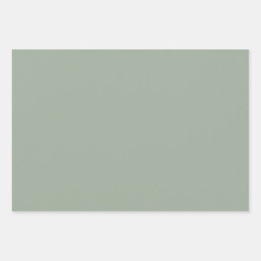 Fun Leaf Muster mit passender Farbe Geschenkpapier Set (Vorderseite 3)