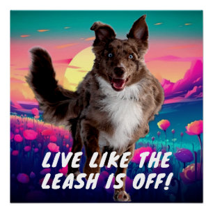 Fun Life Quote Moderner Australischer Hirte Poster