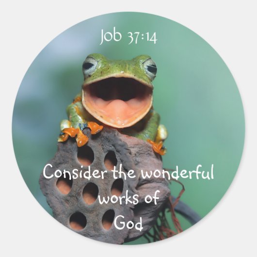 Fun Little Frog Bible Scripture Job 12:14 Runder Aufkleber (Vorderseite)