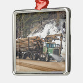 Fun Log In - Log Out Login Trucker Art Design Silbernes Ornament (Links)