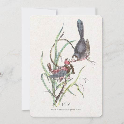 Fun Love Birds Wedding Einladung (Rückseite)