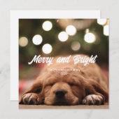 Fun Merry and Bright Foto Weihnachtskarte Einladung (Vorne/Hinten)