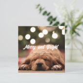 Fun Merry and Bright Foto Weihnachtskarte Einladung (Stehend Vorderseite)