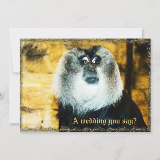 Fun Monkey Foto Zoo Hochzeit Einladungen (Vorderseite)